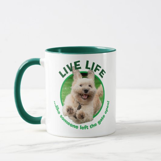 Hond loopt in de baard mok (Links)