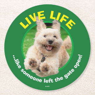 Hond loopt in de baard ronde kartonnen onderzetter