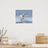 Hond loopt in water op het strand. poster (Keuken)