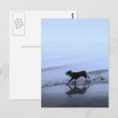 Hond loopt op strand briefkaart (Voorkant / Achterkant)