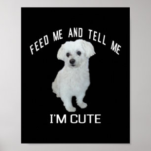 Hond Maltees Schattig Maltees Hond Grappig Quote P Poster