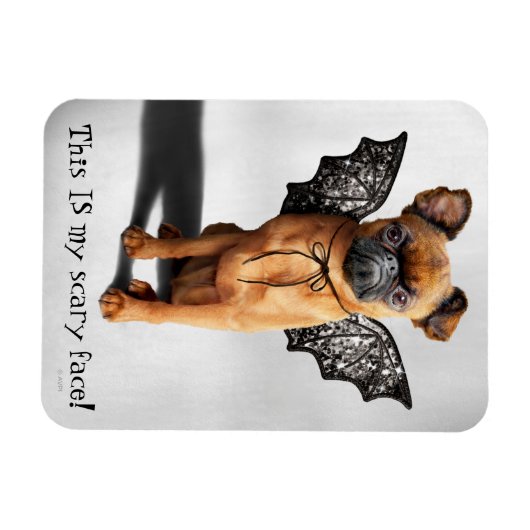 hond met bakboord magneet (Horizontaal)