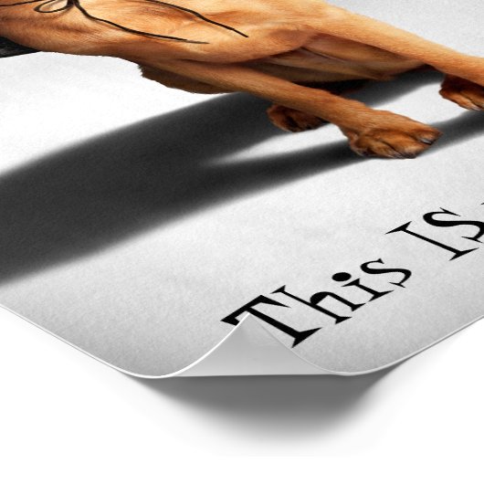 hond met bakboord poster (Hoek)