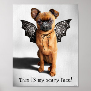 hond met bakboord poster