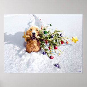 Hond met boom in sneeuw poster