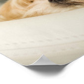 Hond met een kroon poster (Hoek)