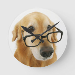 Hond met een stropdas en een bril op een stoel ronde klok