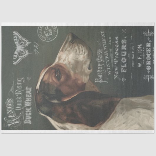  hond met ephemera-debetpapier tissuepapier (Voorkant)