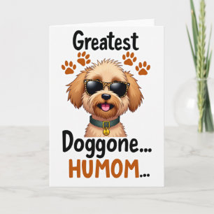 Hond met gespikkelde zonnebril kaart
