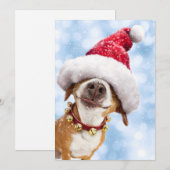 Hond Met Grote Kerstman Hoed Kaart (Voorkant / Achterkant)