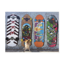 Hond met muurschildering van skateboards