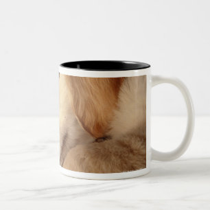 hond met schoenen op een houten vloer, verhoogd tweekleurige koffiemok