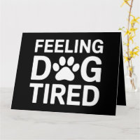 Hond Moe