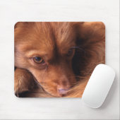 hond muismat (Met muis)