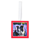 Hond Multi Foto Rode Kerst Kubus Ornament (Voorkant)