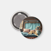 Hond op Bed Magneet (Voorkant / Achterkant)