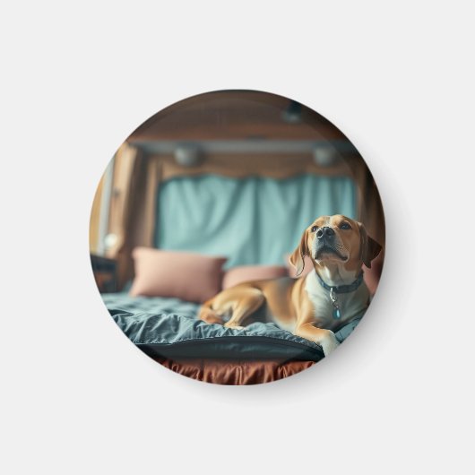 Hond op Bed Magneet (Voorkant)