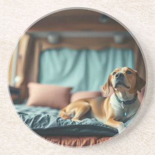Hond op Bed Zandsteen Onderzetter