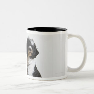 hond op de as tweekleurige koffiemok