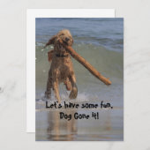 Hond op de strand kaart (Voorkant / Achterkant)