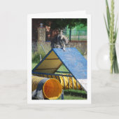 Hond op de trainingsschool kaart (Voorkant)