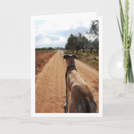 Hond op Dusty Road Kaart (Voorkant)