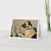 Hond op het strand kaart (Voorkant)