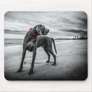 Hond op het strand Zwart & Wit foto met rode halsb Muismat