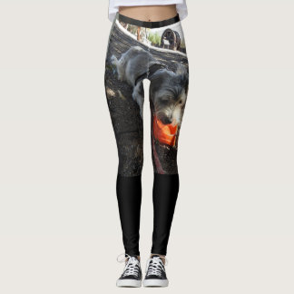 hond op je broek leggings