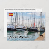 Hond op Paseo maritimo - Palma de Mallorca Briefkaart (Voorkant / Achterkant)