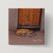 Hond op Rest Square Button (Voorkant)