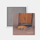 Hond op Rest Square Magnet Magneet (Voorkant / Achterkant)