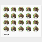 Hond op Sticker (Vel)