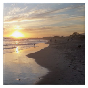 hond op Sunset California Dreaming Tile Tegeltje