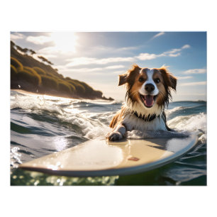 Hond op surfplank foto afdruk
