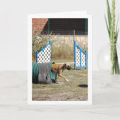 Hond op Training School Kaart (Voorkant)