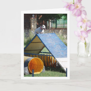 Hond op Training School Kaart