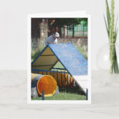 Hond op Trainingschool Kaart (Voorkant)