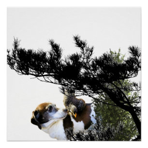 hond perfect poster