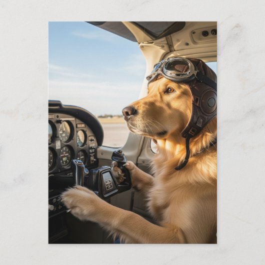 Hond piloot vliegt Vliegtuig grappig Vliegtuig Ver Briefkaart (Voorkant)