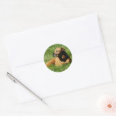 Hond, pitbull/boxer mix ronde sticker (Envelop)