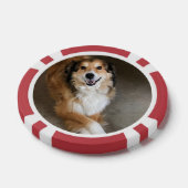 Hond Poker Chips (Enkel)