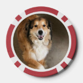 Hond Poker Chips (Achterkant)