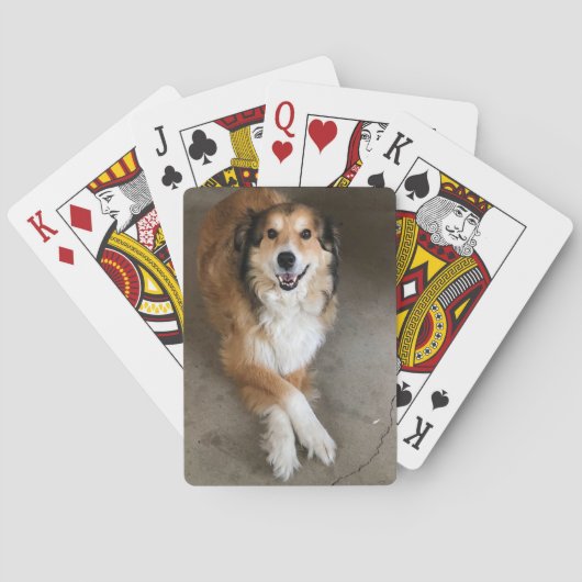 Hond Pokerkaarten (Achterkant)