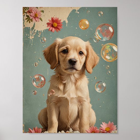  hond poster (Voorkant)
