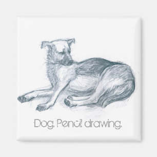 Hond. Potloodtekening. Magneet