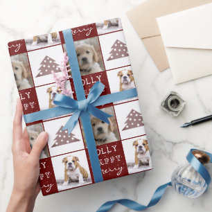 Hond Puppies Huisdier 2 Foto's Prettig Joolig Kers Cadeaupapier