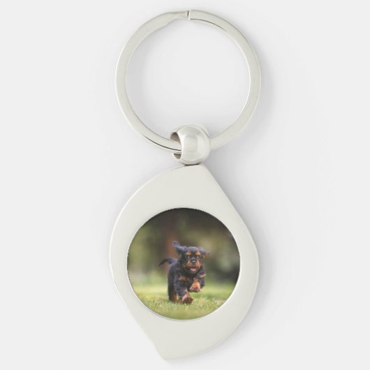 Hond, Puppy, Cavalier Sleutelhanger (Voorkant)