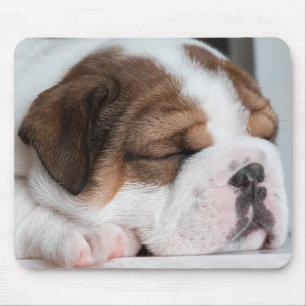 Hond, puppy, huisdier muismat