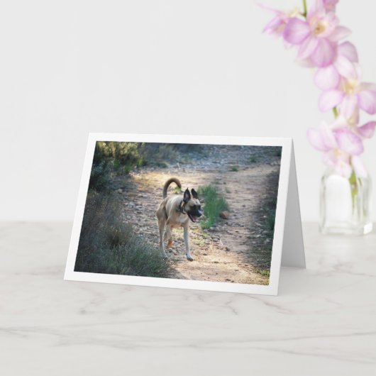 Hond Rennend en Springend Kaart (Orchidee)